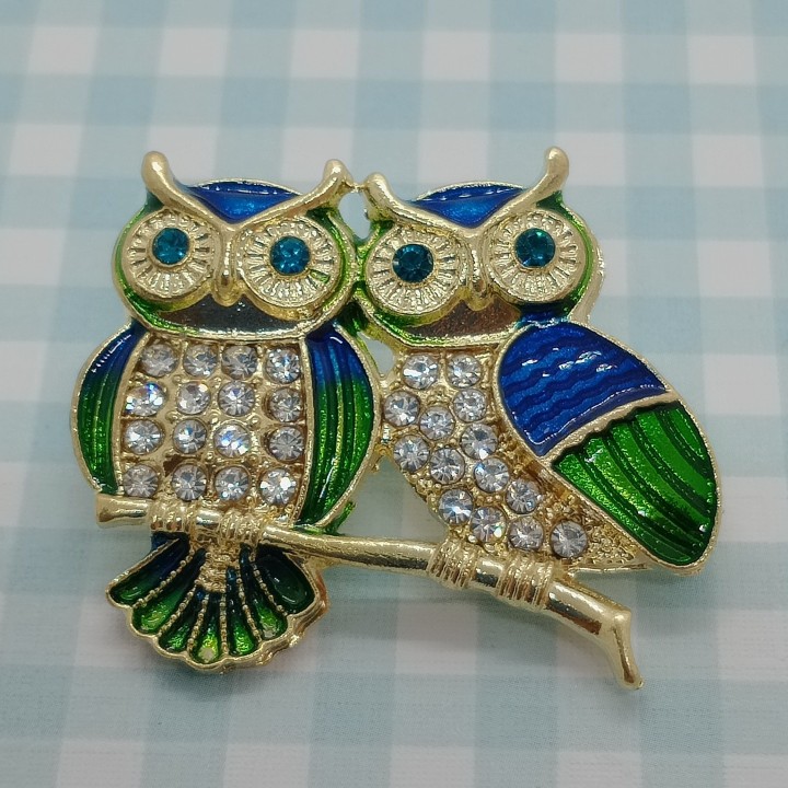 Broche Chouettes Strass Vert d'Eau Bleu Unisexe | Trugarez Emma